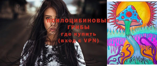 ECSTASY Яровое