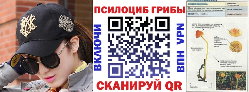 Купить  Миллерово  Галлюциногенные грибы Psilocybine cubensis 
